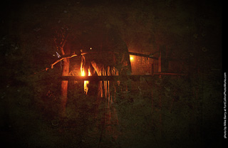 Creepy Walk in the Woods 2025