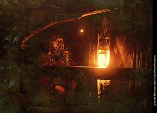 Creepy Walk in the Woods 2025