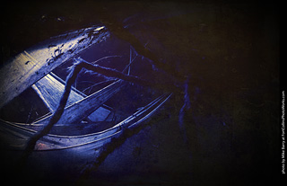 Creepy Walk in the Woods 2025