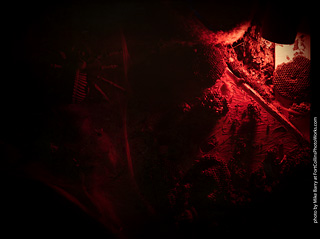 Creepy Walk in the Woods 2025