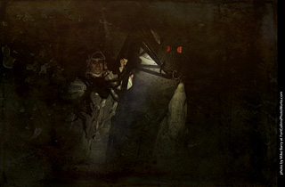 Creepy Walk in the Woods 2025