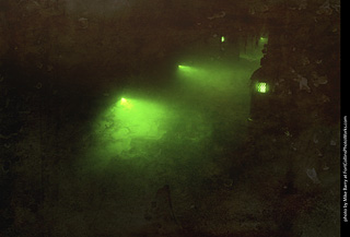 Creepy Walk in the Woods 2025