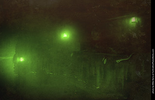 Creepy Walk in the Woods 2025