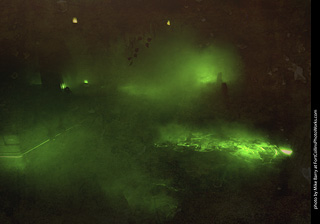 Creepy Walk in the Woods 2025