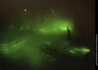 Creepy Walk in the Woods 2025