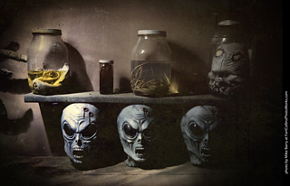 Creepy Walk in the Woods 2025