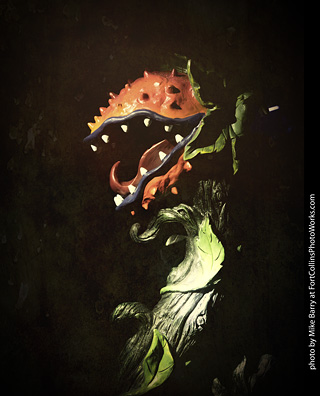 Creepy Walk in the Woods 2025