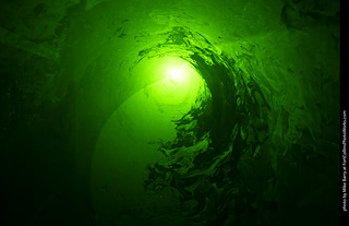 Creepy Walk in the Woods 2025