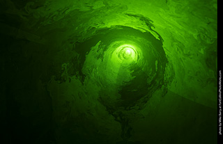 Creepy Walk in the Woods 2025