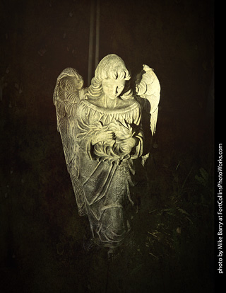 Creepy Walk in the Woods 2025