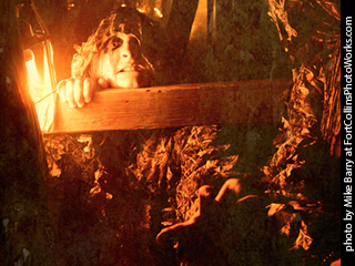 Creepy Walk in the Woods #3