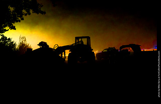 Creepy Walk in the Woods 2025