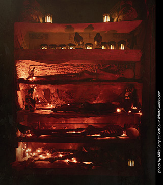 Creepy Walk in the Woods 2025