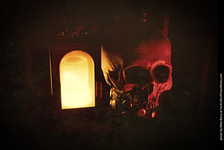 Creepy Walk in the Woods 2025