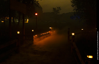 Creepy Walk in the Woods 2025